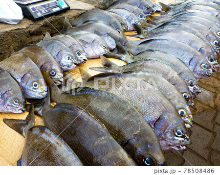 チリ イースター島で朝の野外市場で並ぶ新鮮な魚の写真素材