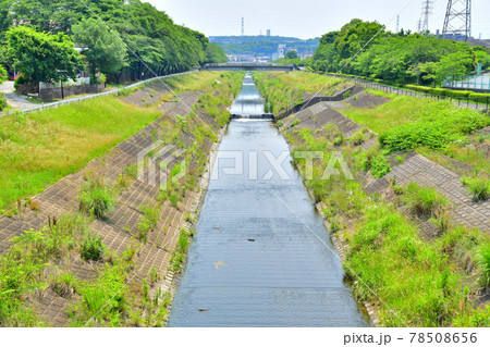 殿田橋/大栗川より上流方面を望む(東京都多摩市)【2021.6】 殿田橋/大栗川より上流方面を望む(東京都多摩市)【2021.6】 78508656
