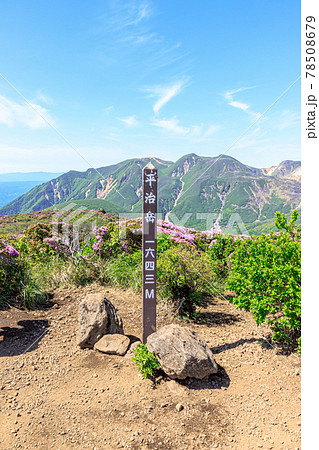 平治岳とミヤマキリシマ 山頂 大分県 平治岳とミヤマキリシマ 山頂 大分県 78508679