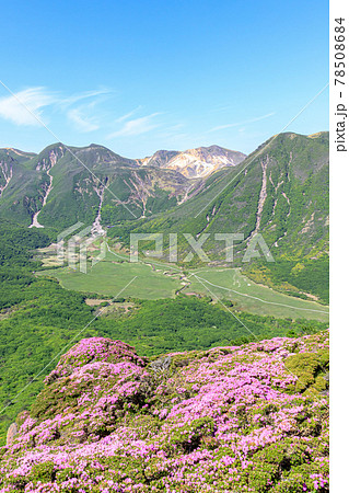 ミヤマキリシマとくじゅう連山　平治岳　大分県 78508684