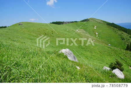 初夏の生石高原の風景 和歌山県海草郡紀美野町 初夏の生石高原の風景 和歌山県海草郡紀美野町 78508779