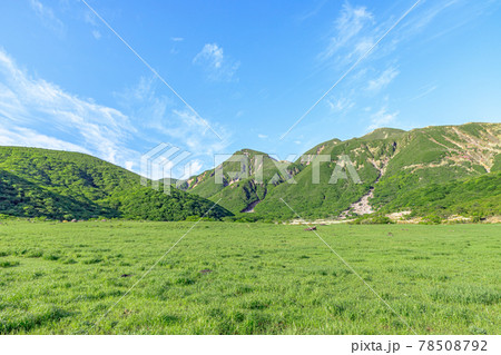 初夏の坊ガツル　くじゅう連山　大分県 78508792