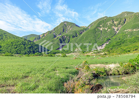 初夏の坊ガツルと白口岳 くじゅう連山 大分県 初夏の坊ガツルと白口岳 くじゅう連山 大分県 78508794