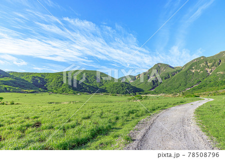 初夏の坊ガツル　くじゅう連山　大分県 78508796