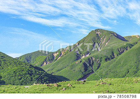 初夏の坊ガツルと白口岳　くじゅう連山　大分県 78508798