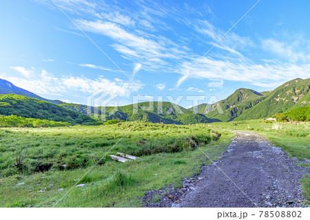 初夏の坊ガツル　くじゅう連山　大分県 78508802