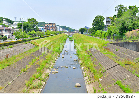 殿田橋/大栗川より下流方面を望む(東京都多摩市)【2021.6】 殿田橋/大栗川より下流方面を望む(東京都多摩市)【2021.6】 78508837