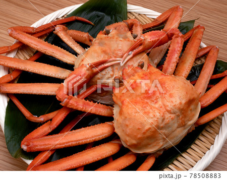 茹でたベニズワイガニ 78508883