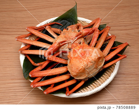 茹でたベニズワイガニ 茹でたベニズワイガニ 78508889