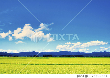 秋の田園風景 秋の田園風景 78509884