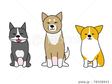 おすわりして笑う3頭の犬のイラスト素材