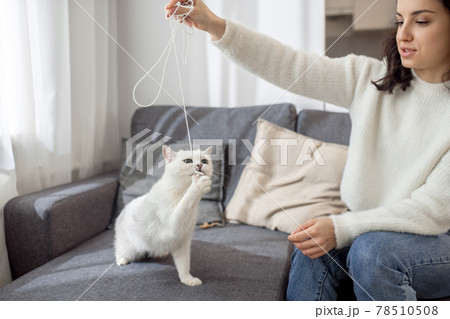 Dark-haired lovely woman playing with her white cat Dark-haired lovely woman playing with her white cat 78510508