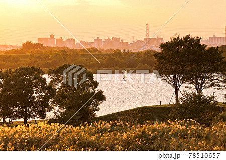 彩湖・道端グリーンパーク 78510657