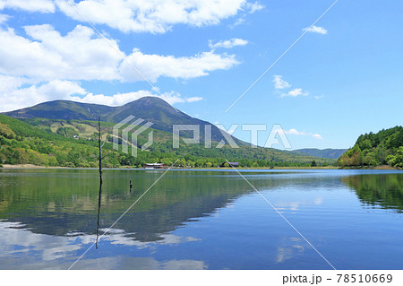 5月の女神湖と蓼科山 78510669
