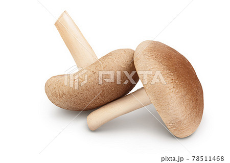 Fresh Shiitake mushroom isolated on white background with clipping path and full depth of field. 78511468
