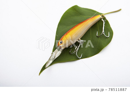 image of fishing bait leaf white background image of fishing bait leaf white background 78511887