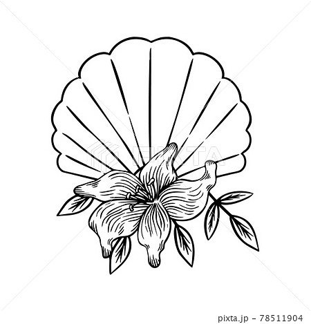 Seashell With Lilies Thin Line Icon Animal And のイラスト素材