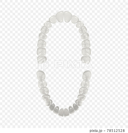 Vector 3d Realistic Teeth, Upper, Lower Adult Jaw, Top View. Anatomy Concept. Orthodontist Human Teeth Scheme Isolated. Medical Oral Health. Design Template of Prosthetics, Periodontal Disease Gums Vector 3d Realistic Teeth, Upper, Lower Adult Jaw, Top View. Anatomy Concept. Orthodontist Human Teeth Scheme Isolated. Medical Oral Health. Design Template of Prosthetics, Periodontal Disease Gums 78512528
