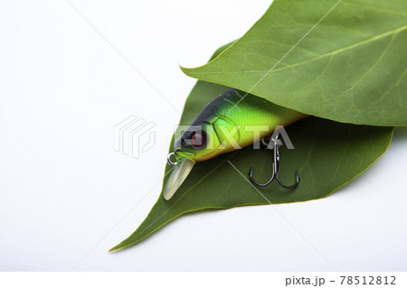 image of fishing bait leaf white background 78512812