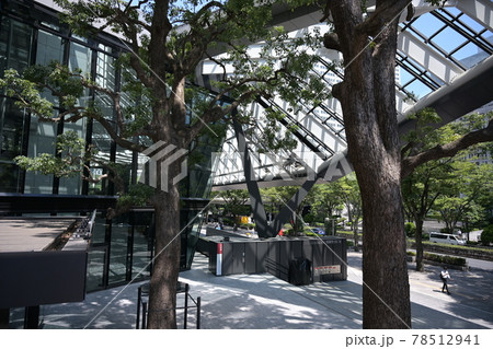 東京西新宿オフィスビル庭園　樹木と日陰　憩の場　フルサイズ高画質 78512941