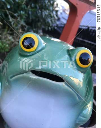 陶器のカエル 78513316