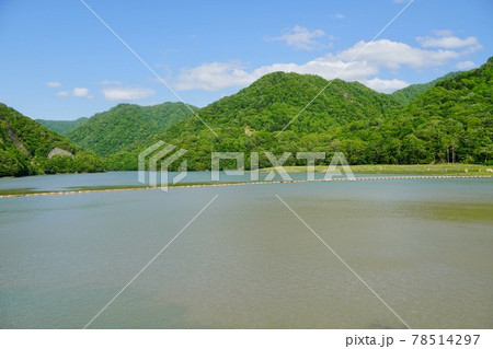 山奥の湖、静内調整池・静内ダム 78514297