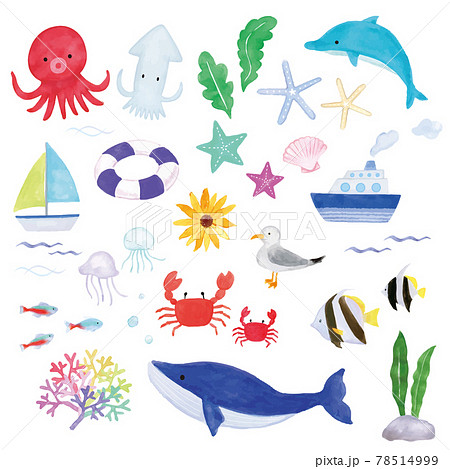 海イメージの水彩イラストセット 78514999