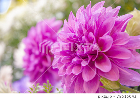 お葬式のフラワー祭壇 お葬式のフラワー祭壇 78515043