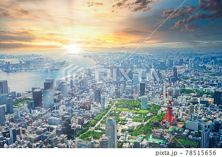 東京 78515656