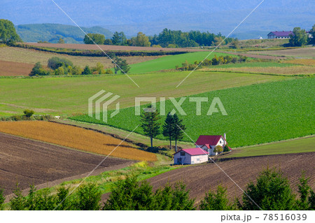 美瑛の丘　赤い屋根の家 78516039