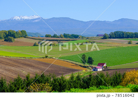 美瑛の丘　赤い屋根の家 78516042