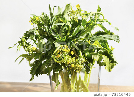 Bunch of yellow turnip greens flowers Bunch of yellow turnip greens flowers 78516449