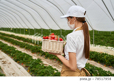 Farmer in medical mask holding basket with strawberries Farmer in medical mask holding basket with strawberries 78517958