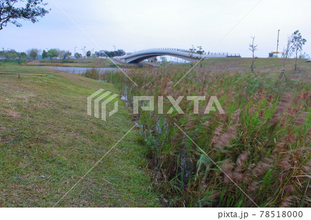 湖 湖上 一湖 78518000