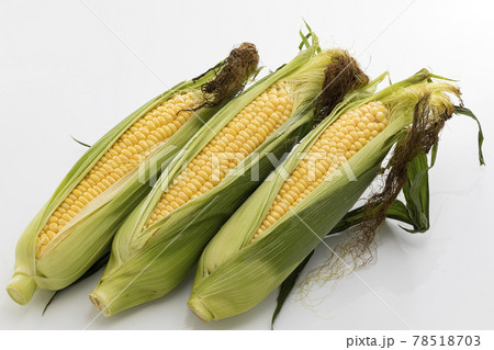 白バックでひげ付きのとうもろこし 78518703