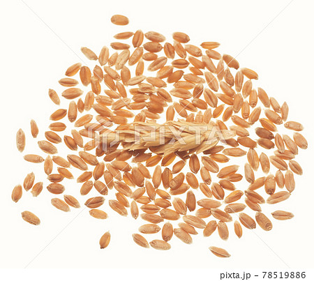 Wheat on white 78519886