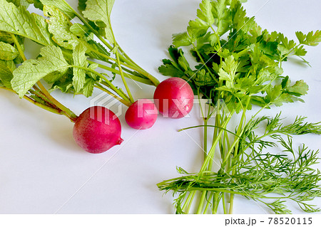 Three fruits of red radish with green leaves and bunches of green parsley. Three fruits of red radish with green leaves and bunches of green parsley. 78520115