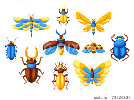 Background with insects. Stylized butterflies, beetles and dragonflies. 78520386
