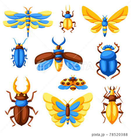 Set of insects. Stylized butterflies, beetles and dragonflies. 78520388