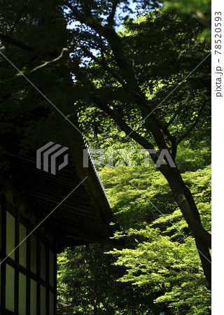 虎渓山永保寺 虎渓山永保寺 78520593