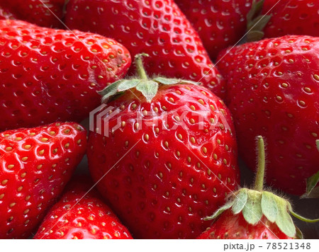 Close-up of a large number of strawberries. Natural background. Close-up of a large number of strawberries. Natural background. 78521348