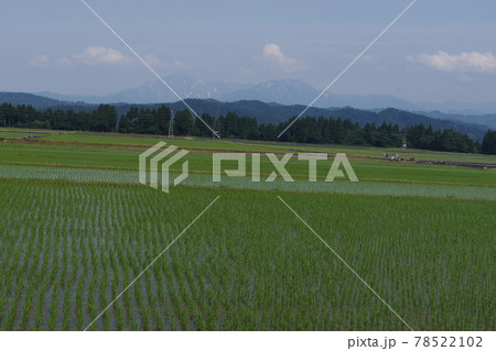 水田地帯 78522102