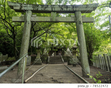 新緑と神社の鳥居 78522472