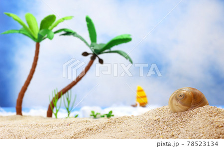 Seashell on Tropical Beach Seashell on Tropical Beach 78523134