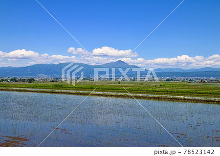水田と磐梯山（福島県・会津美里町） 78523142