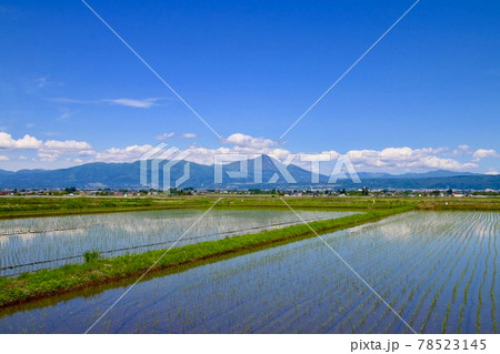 水田と磐梯山（福島県・会津美里町） 78523145