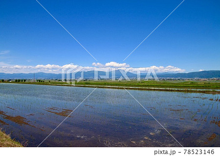 水田と磐梯山（福島県・会津美里町） 78523146