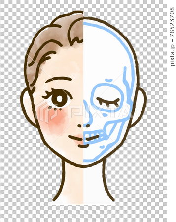 Cross-section illustration of the facial skeleton and skull 78523708