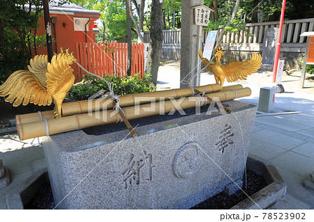 富岡八幡宮(東京都江東区) 手水舎 富岡八幡宮(東京都江東区) 手水舎 78523902