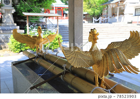 富岡八幡宮(東京都江東区) 手水舎 富岡八幡宮(東京都江東区) 手水舎 78523903